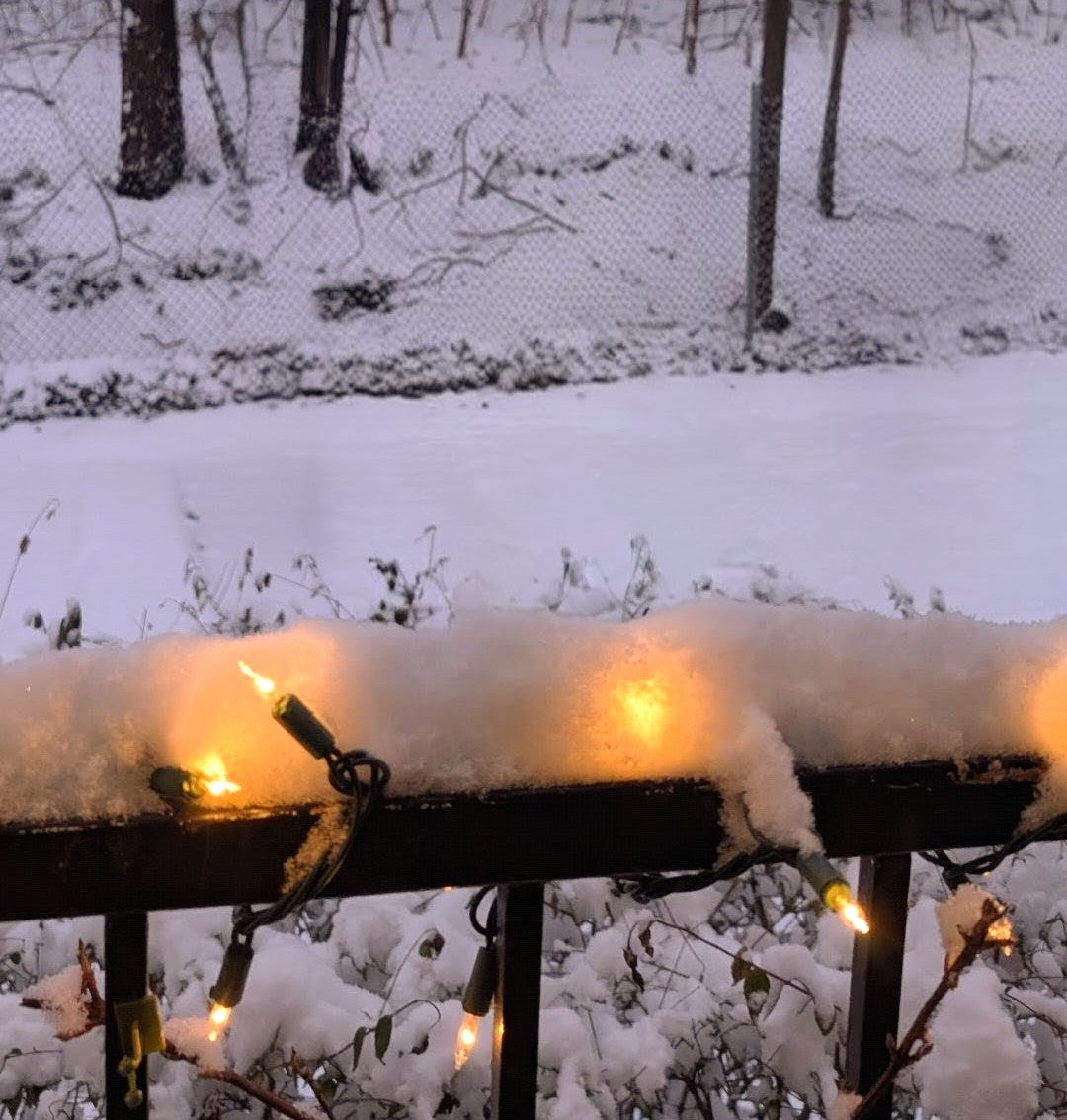 String Lights in Snow