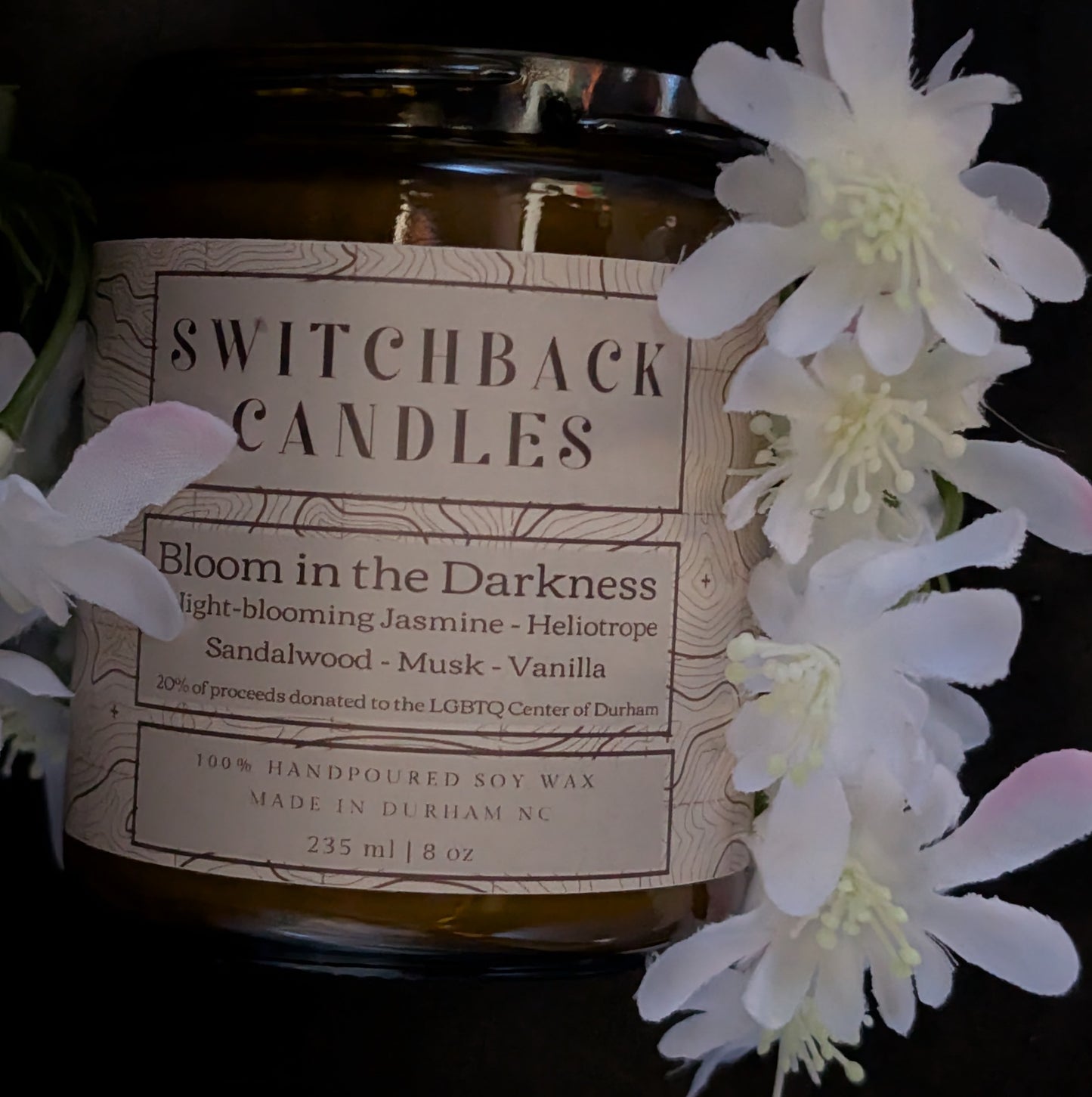 Bloom in the Darkness