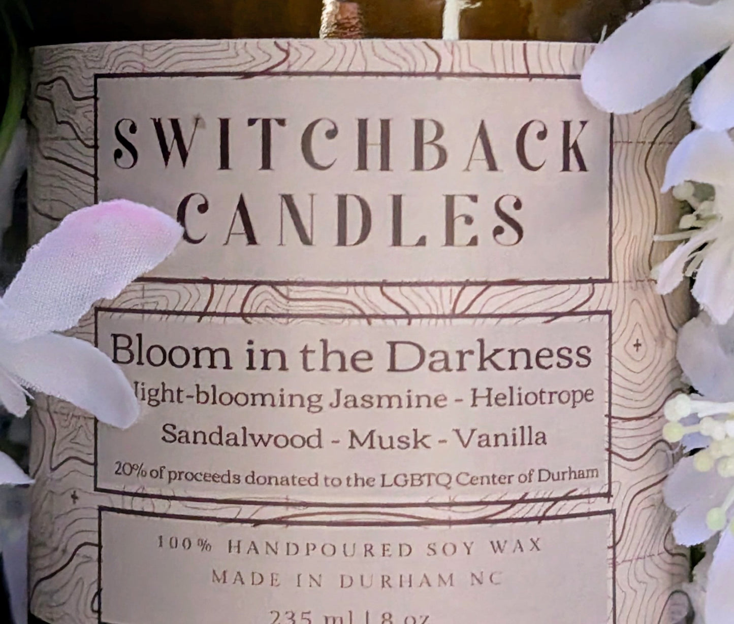 Bloom in the Darkness